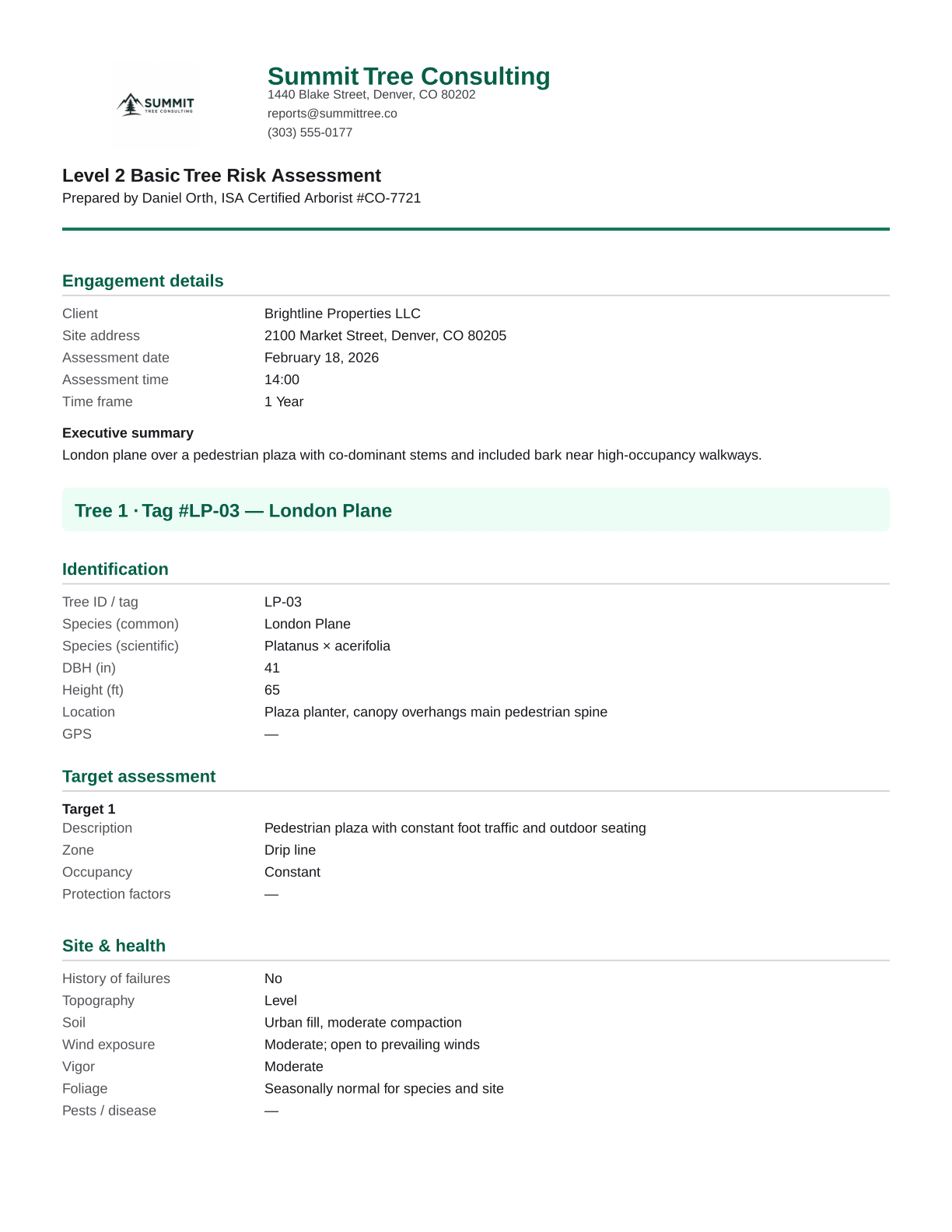 Sample Level 2 PDF preview for a london plane rated High risk (fabricated demo)